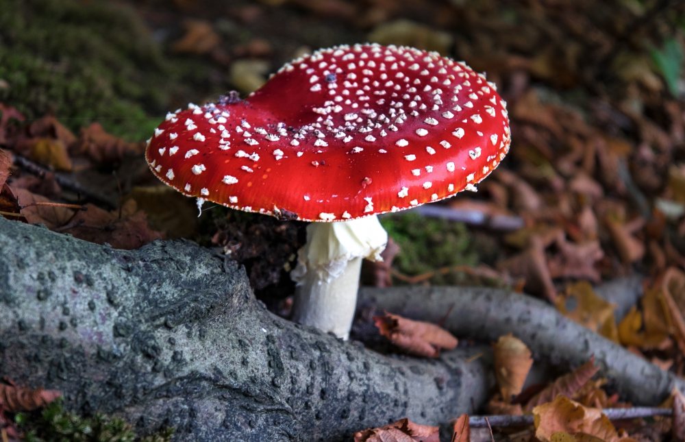 202103251400121.jpg